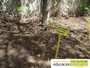 Etiquetado del bancal reción plantado por la Fundación Manatial