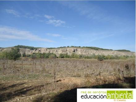 Cortados yesíferos.