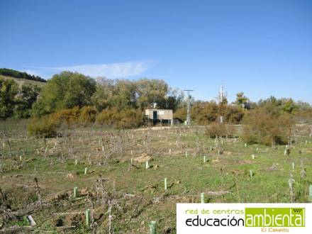 Estación Automática de Alerta 