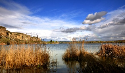 Campillomarzo2011(3)