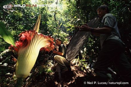 weblarge_84CEA4BA-9791-402E-93E8-FA1FBC03694B