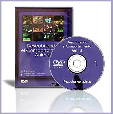 DVD_serie_documental