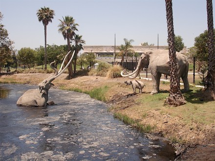 LaBreaTarPits01