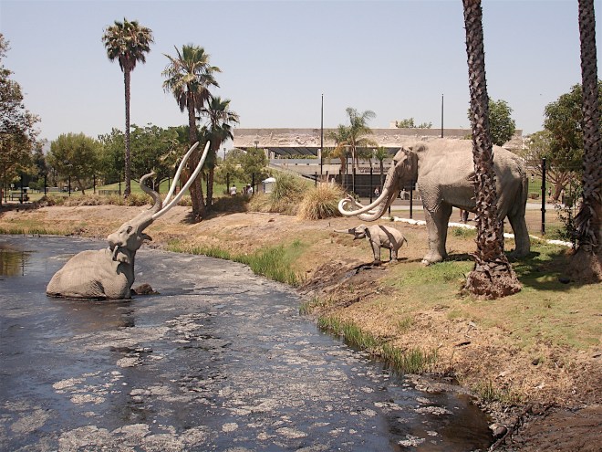 LaBreaTarPits01