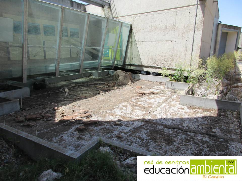 plantilla_foto_campillo horizontal