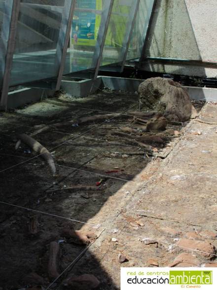 plantilla_foto_campillo vertical.jpg 10