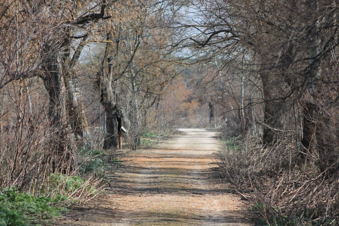 Cortesía del Centro Educación Ambiental Caserío de Henares