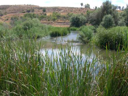 Foto cortesía Caserío de Henares