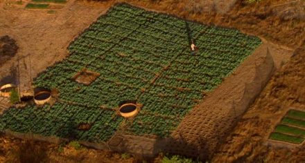 0f49dc4435f27cffe9254c863523cdc0