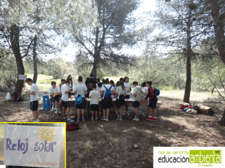 actividades (1)
