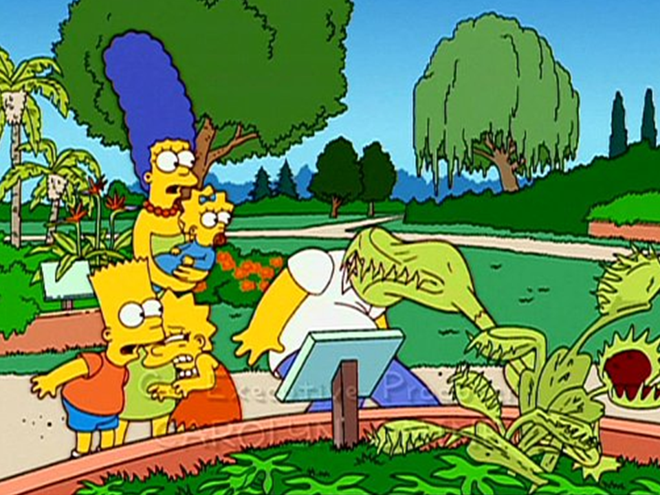 planta-carnivora-simpson