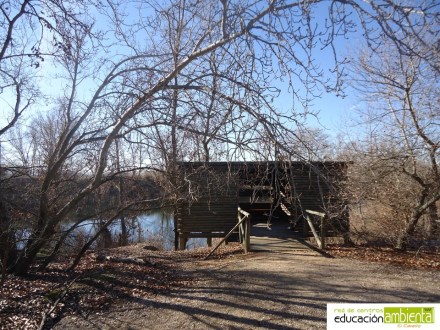 inviernoobservatorio