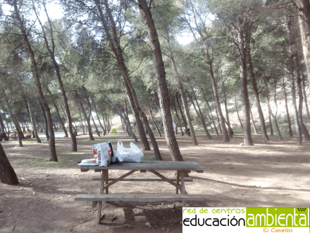 merenderoscampillo-3