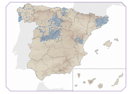 Distribución visón americano