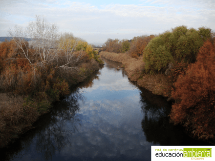 bosque ribera otoño