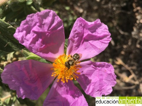 Nuevo Presentación de Microsoft PowerPoint