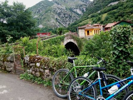 13882161_1309675559072726_6006086361128647986_n