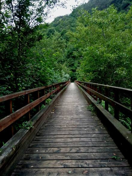 13900261_1309675512406064_716191180589422959_n