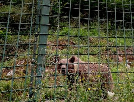 13925143_1309675849072697_4172559165741438209_n