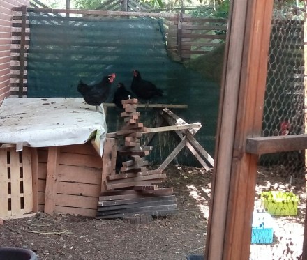 IMG_20170701_125835[1]