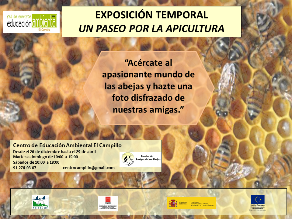 exposición Apicultura