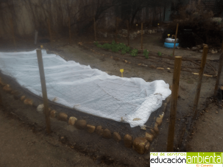 huerta.invierno.campillo.2018