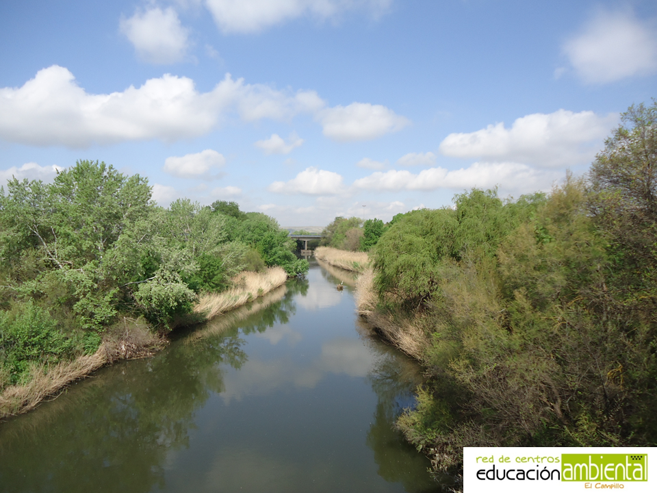 plantilla_foto_campillo