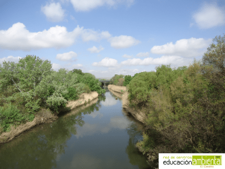 plantilla_foto_campillo