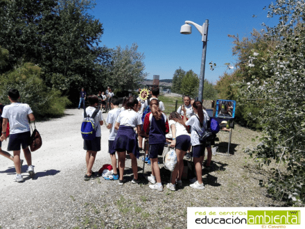 fotosol.concurso.hornos