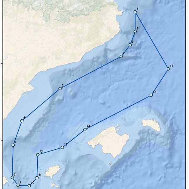 386180_corredordecetaceos