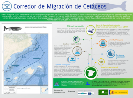 Corredor-de-migración-de-cetáceos-del-Mediterráneo-@deunvistazo-en-@efeverde