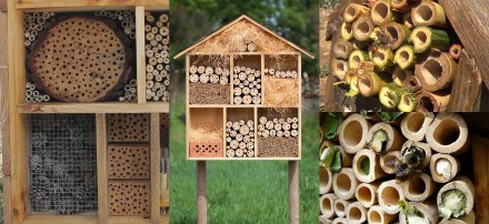 078c3669-hotelinsectospf234back