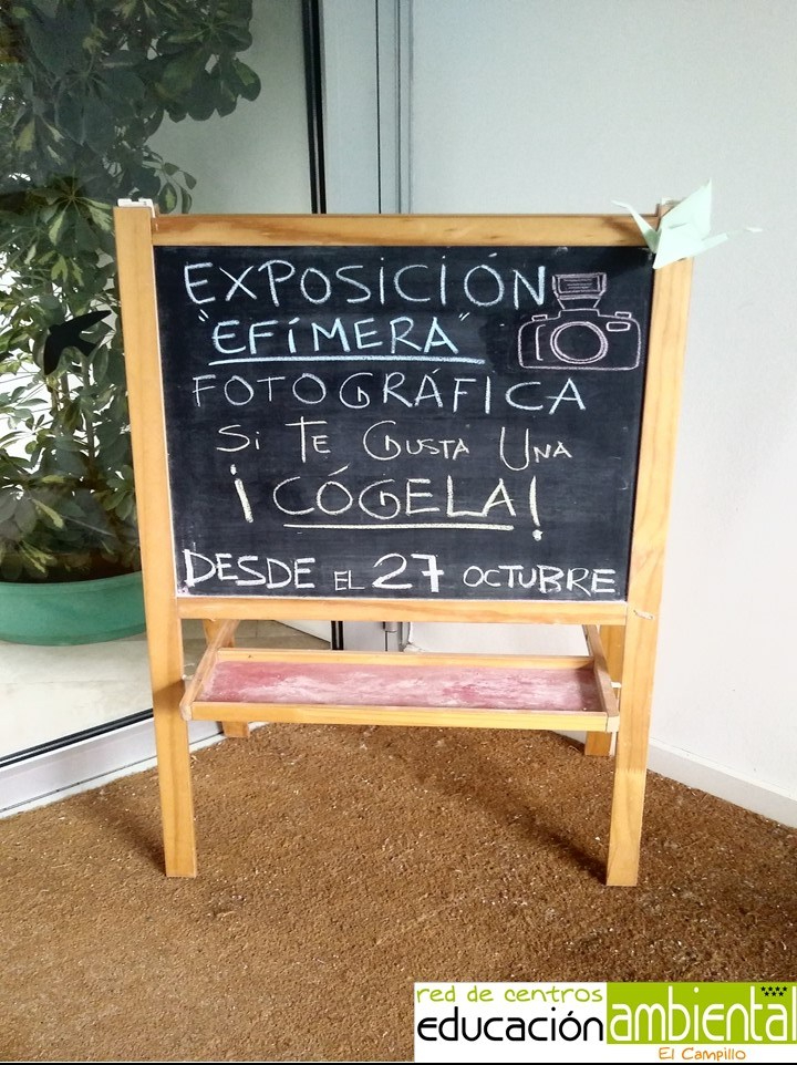 cartel-exposicion.jpg