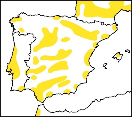 avetorillo distribucion