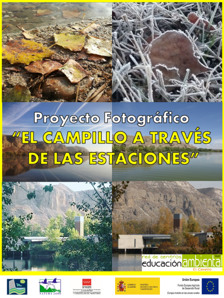 elcampilloatravesdelasestaciones