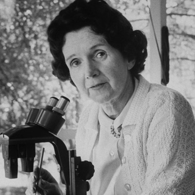 El-caso-de-Rachel-Carson