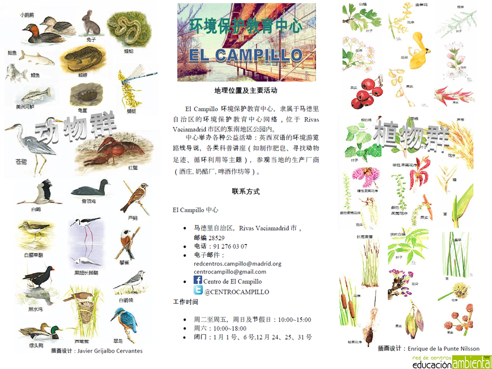 Folleto.campillo.chino.B