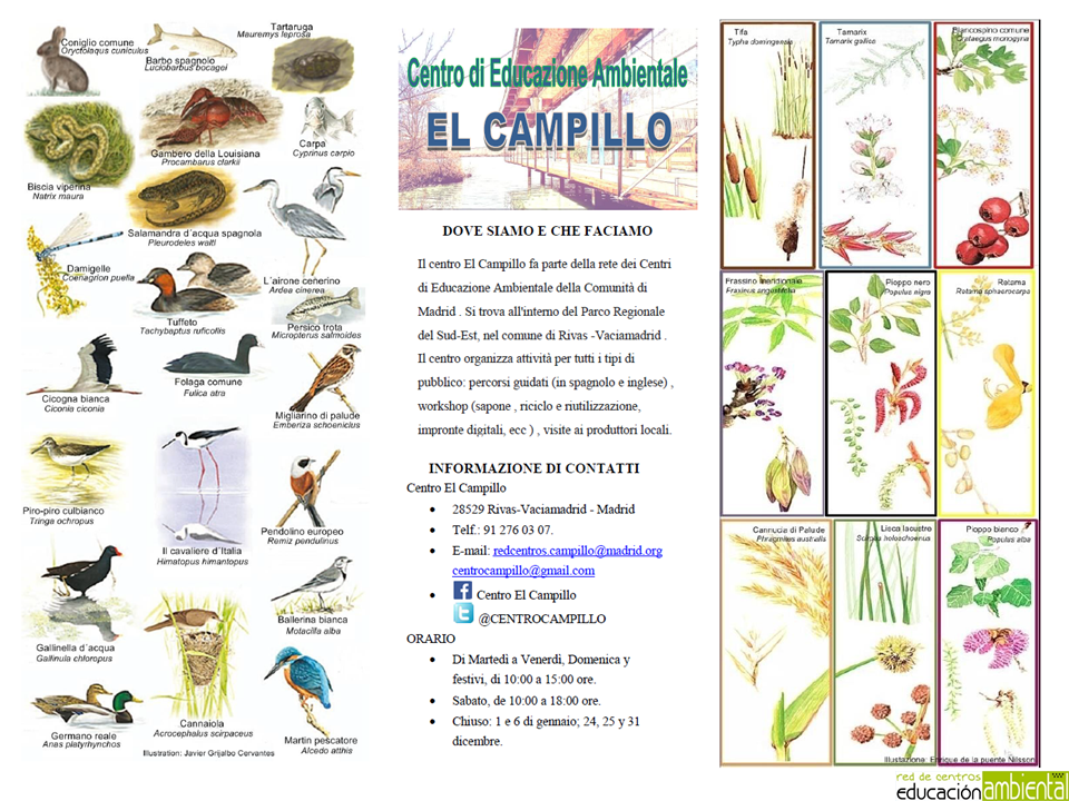 Folleto.campillo.italiano.B