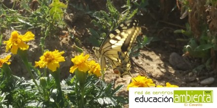 plantilla_foto_campillo horizontal3