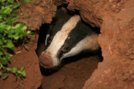 2307003330_b4ca74e4ec_o