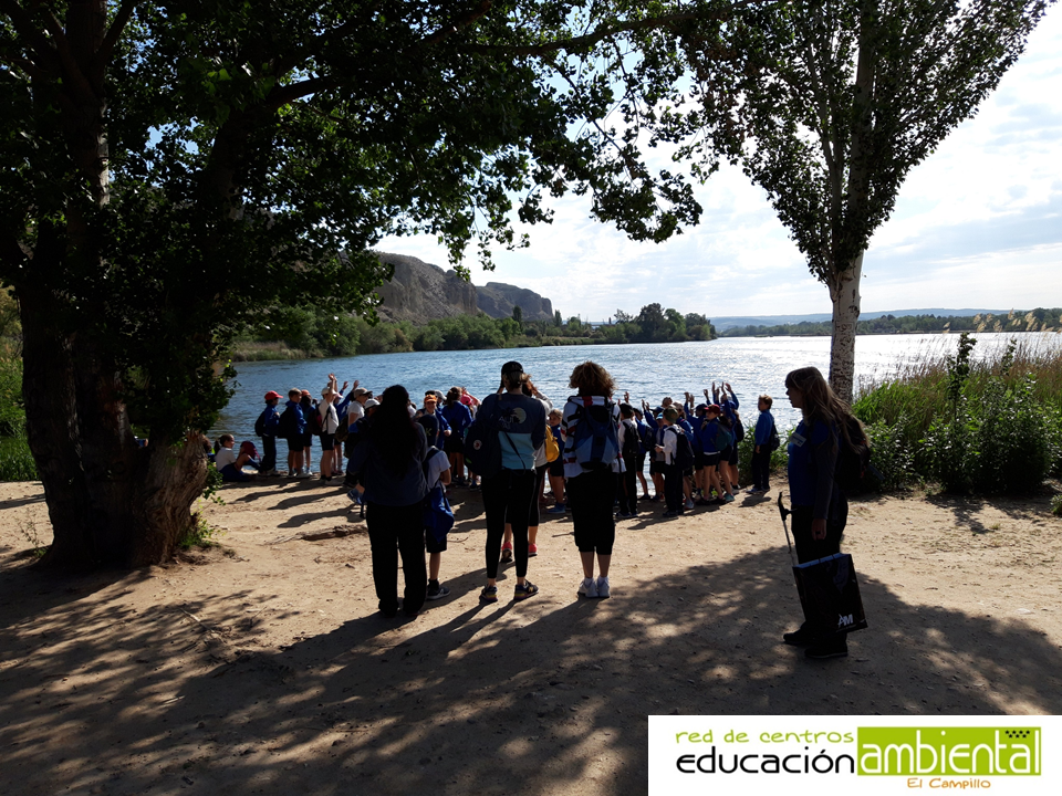 visita.colegio.campillo