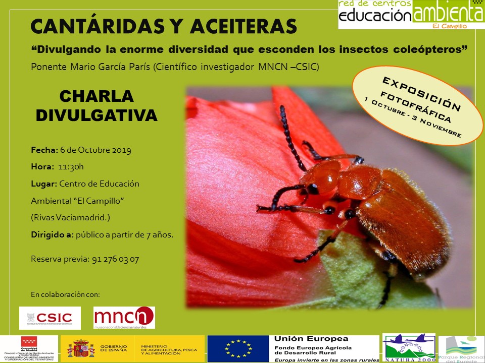 CantaridasYaceiteras