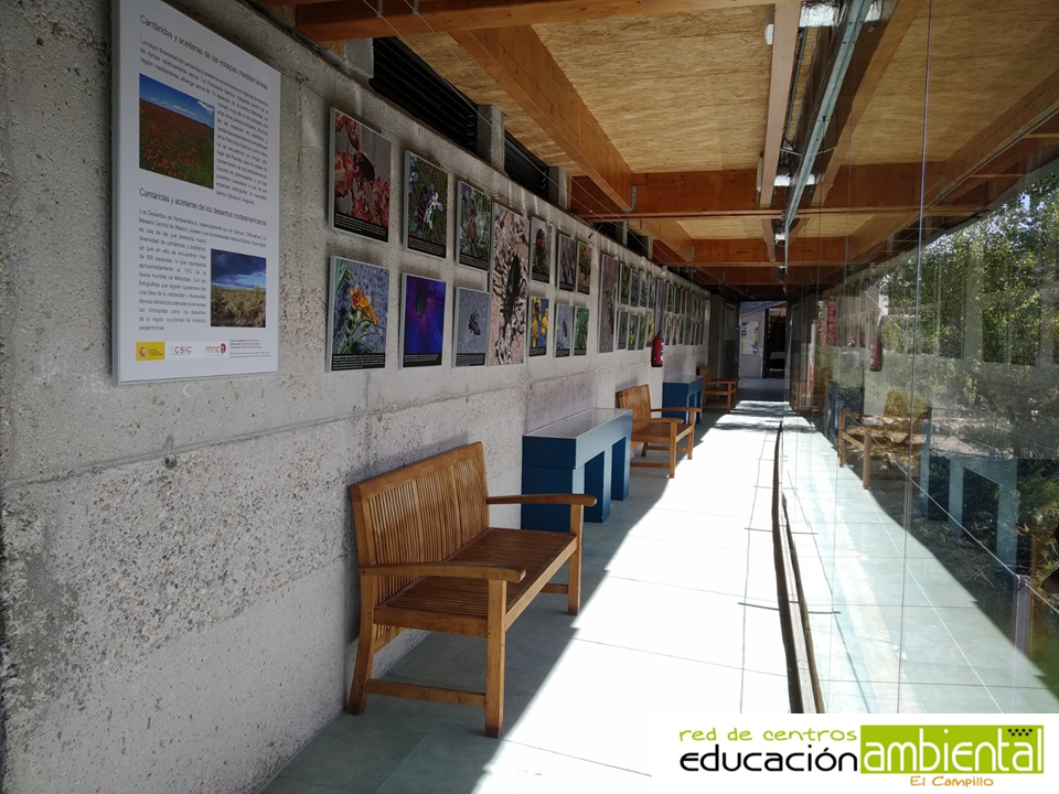 exposicion.cantaridas.y.aceiteras (1)