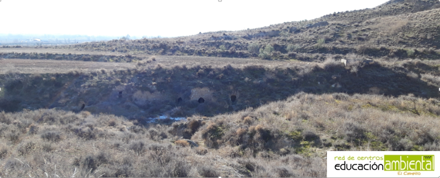 Conjunto rupestre_logo