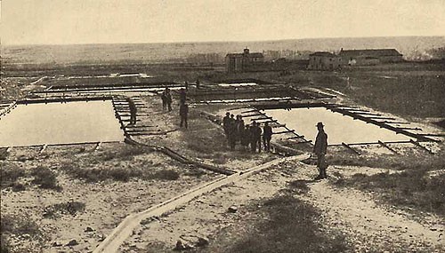 Salinas1926