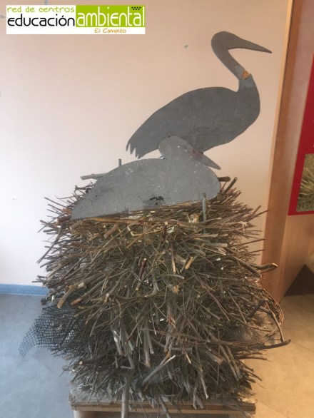 Nido de Cigüeña1