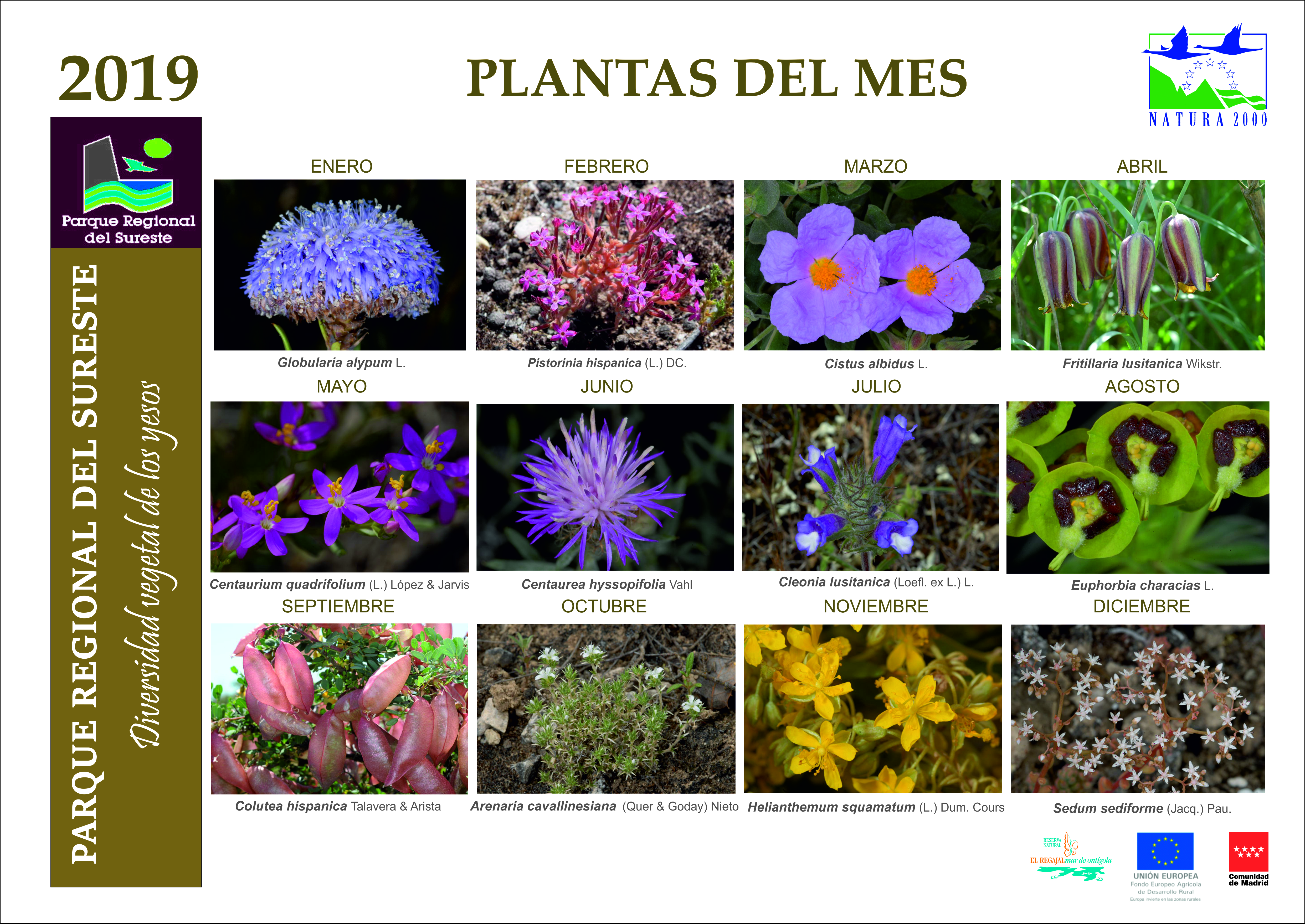 PLANTAS_2019