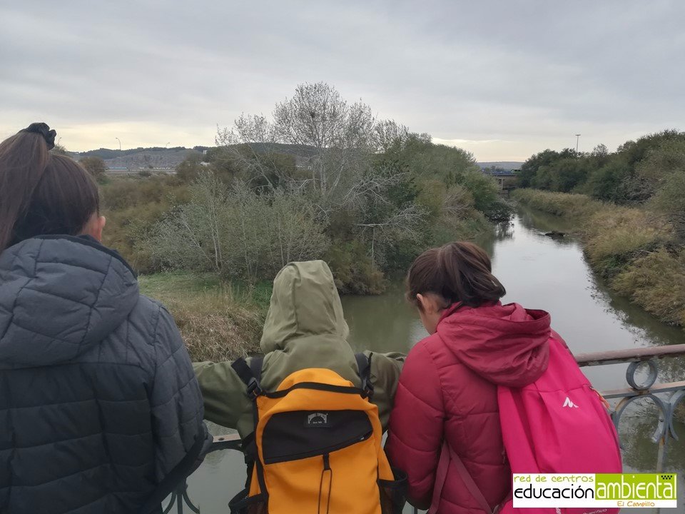 Observando.el.río.Jarama.desde.el.puente.de.Arganda