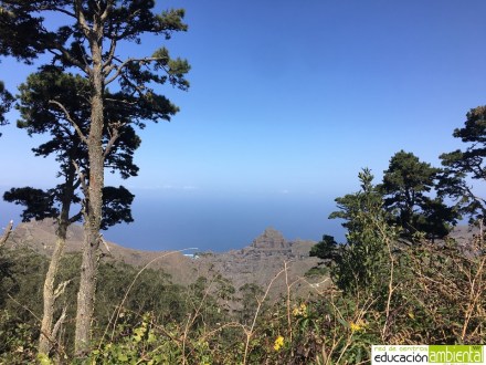 Parque Rural de Anaga (7)