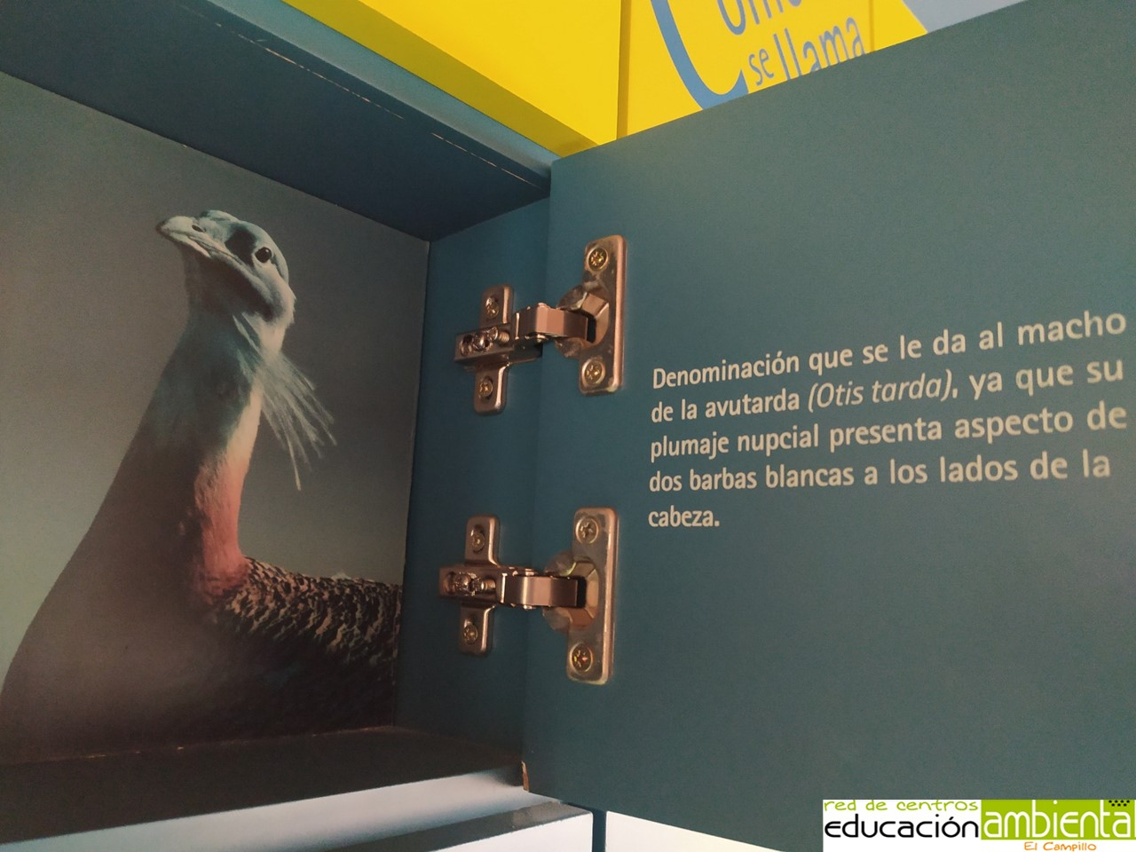 Panel de divulgación del C.E.A. El Campillo.